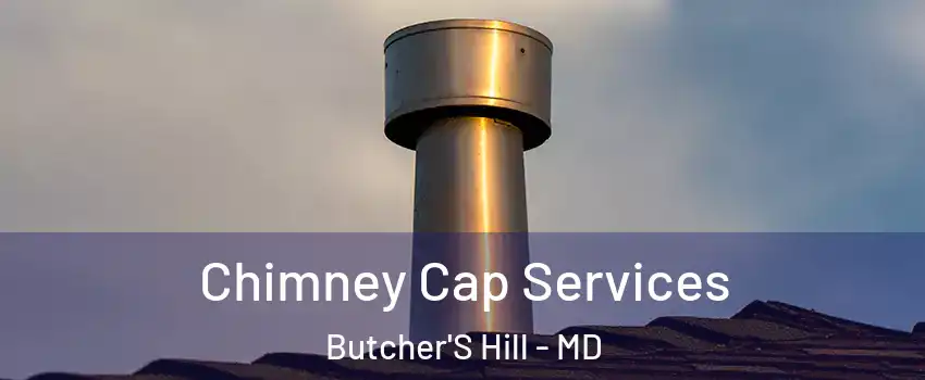 Chimney Cap Services Butcher'S Hill - MD