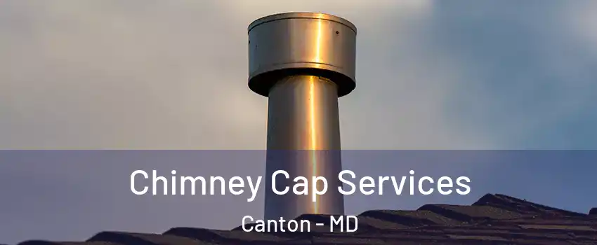 Chimney Cap Services Canton - MD