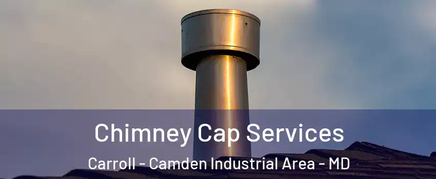 Chimney Cap Services Carroll - Camden Industrial Area - MD
