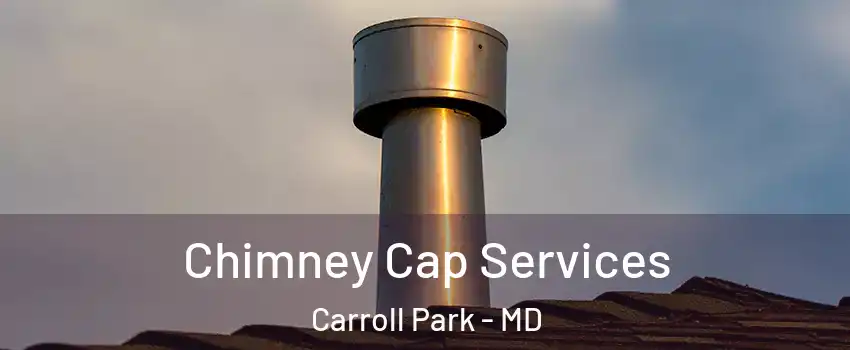 Chimney Cap Services Carroll Park - MD