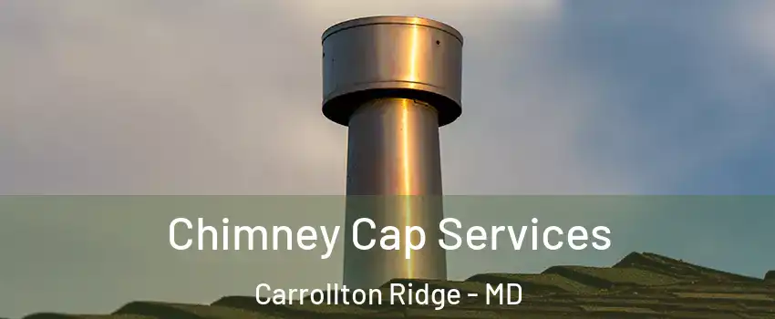 Chimney Cap Services Carrollton Ridge - MD