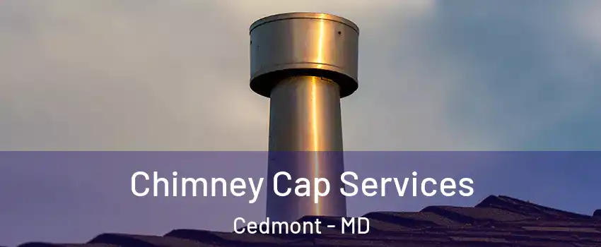 Chimney Cap Services Cedmont - MD