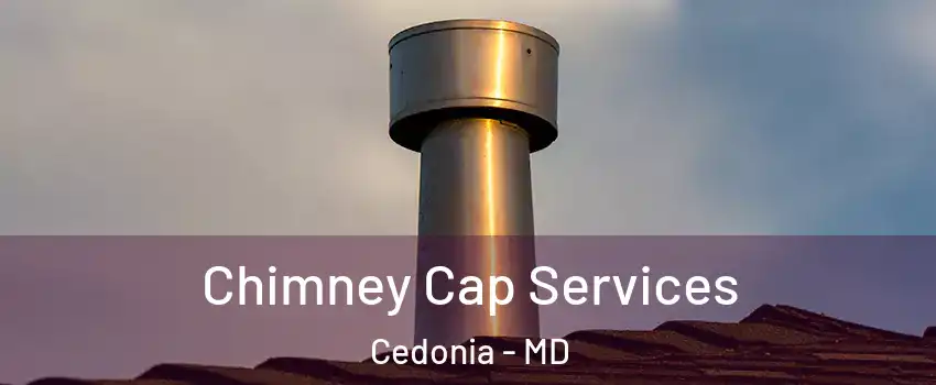 Chimney Cap Services Cedonia - MD