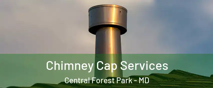 Chimney Cap Services Central Forest Park - MD