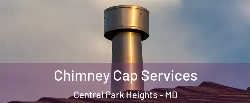 Chimney Cap Services Central Park Heights - MD