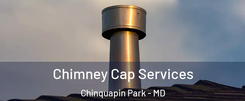 Chimney Cap Services Chinquapin Park - MD