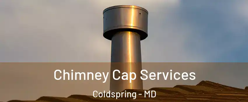 Chimney Cap Services Coldspring - MD
