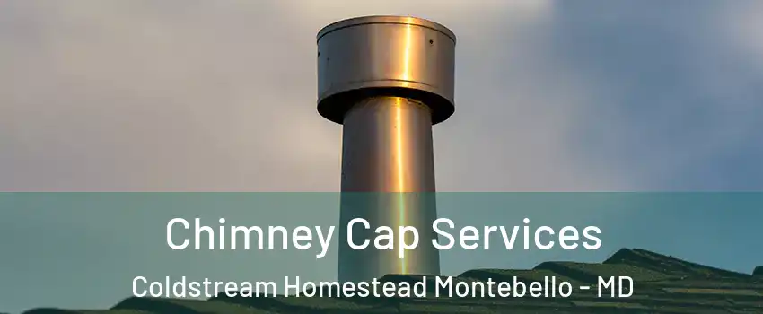 Chimney Cap Services Coldstream Homestead Montebello - MD