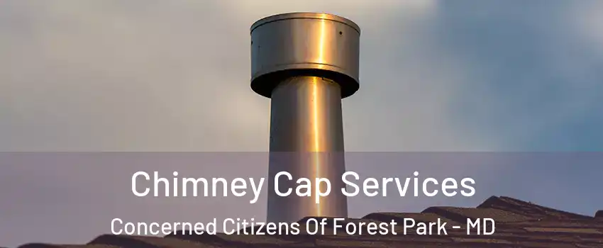 Chimney Cap Services Concerned Citizens Of Forest Park - MD