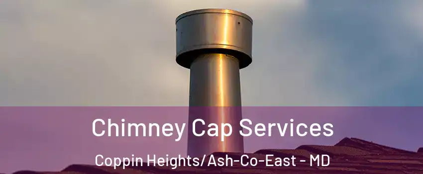 Chimney Cap Services Coppin Heights/Ash-Co-East - MD