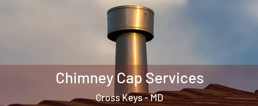 Chimney Cap Services Cross Keys - MD