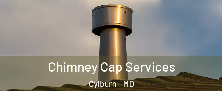 Chimney Cap Services Cylburn - MD