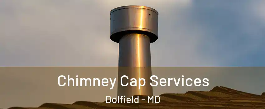 Chimney Cap Services Dolfield - MD