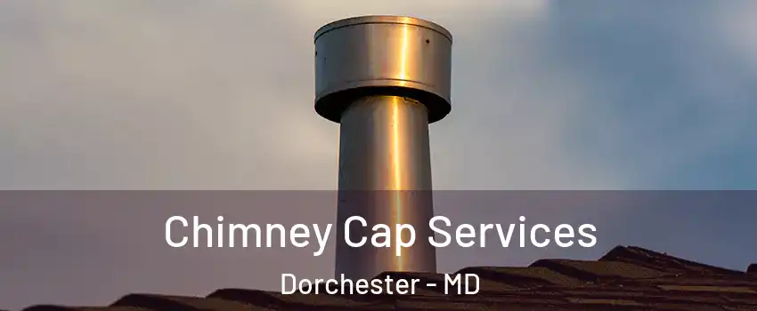 Chimney Cap Services Dorchester - MD