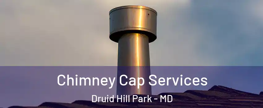 Chimney Cap Services Druid Hill Park - MD