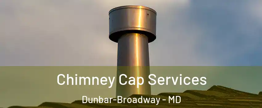 Chimney Cap Services Dunbar-Broadway - MD