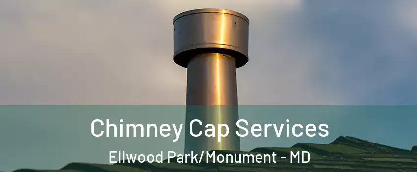 Chimney Cap Services Ellwood Park/Monument - MD