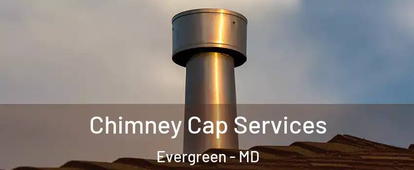 Chimney Cap Services Evergreen - MD
