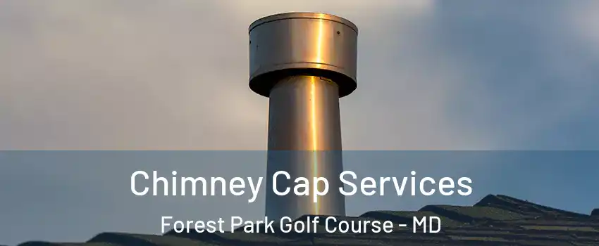 Chimney Cap Services Forest Park Golf Course - MD