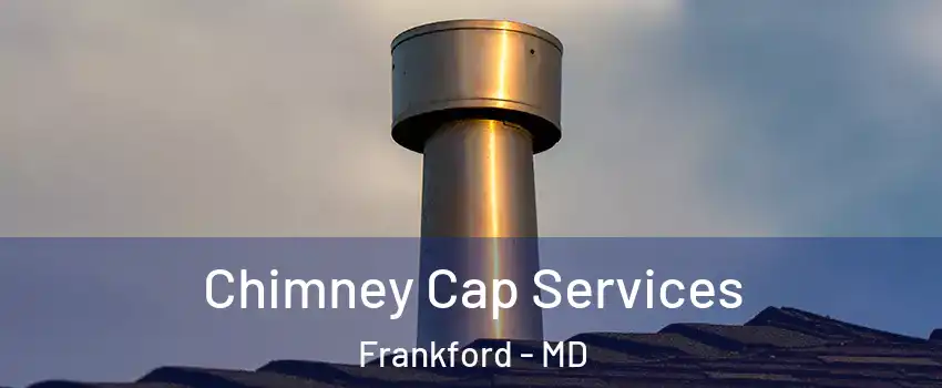 Chimney Cap Services Frankford - MD