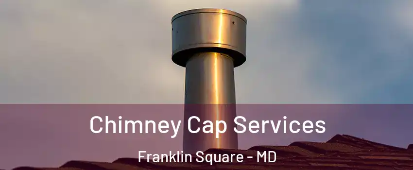Chimney Cap Services Franklin Square - MD