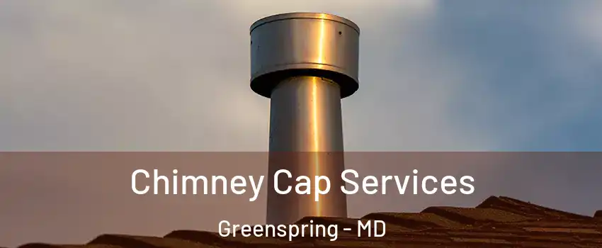 Chimney Cap Services Greenspring - MD