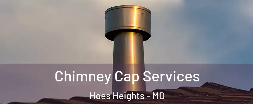 Chimney Cap Services Hoes Heights - MD