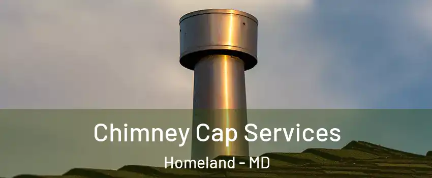Chimney Cap Services Homeland - MD