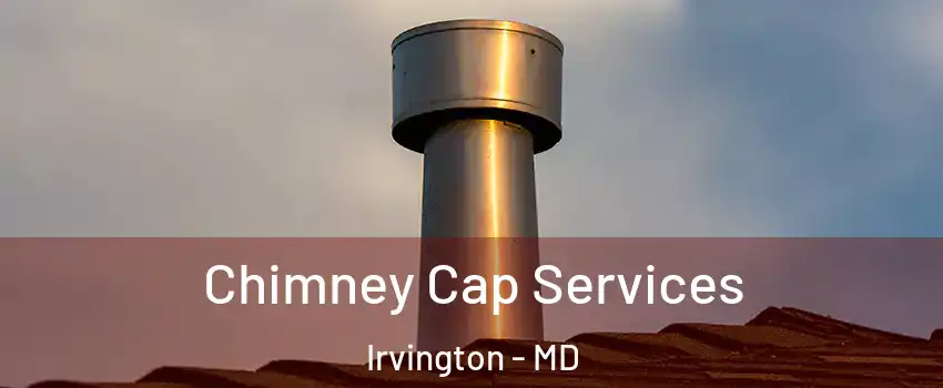 Chimney Cap Services Irvington - MD