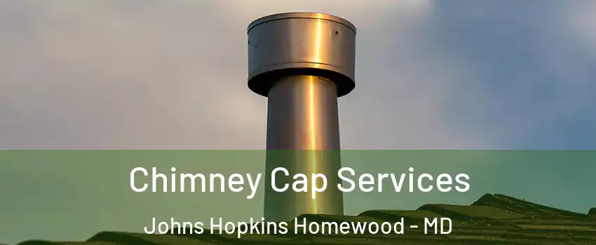 Chimney Cap Services Johns Hopkins Homewood - MD
