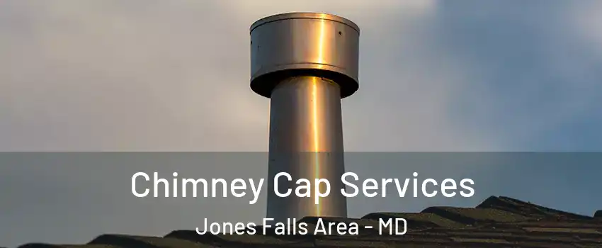 Chimney Cap Services Jones Falls Area - MD