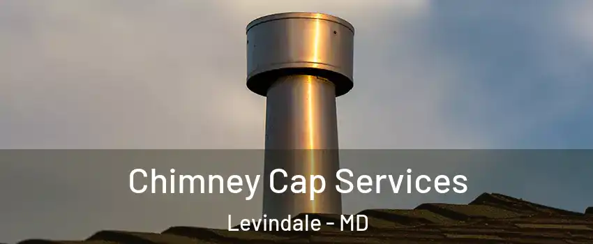Chimney Cap Services Levindale - MD