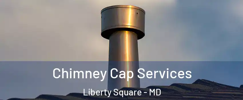 Chimney Cap Services Liberty Square - MD