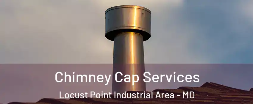 Chimney Cap Services Locust Point Industrial Area - MD