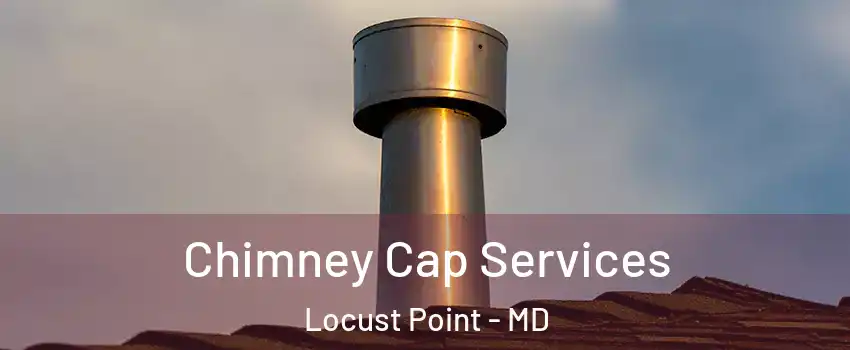 Chimney Cap Services Locust Point - MD