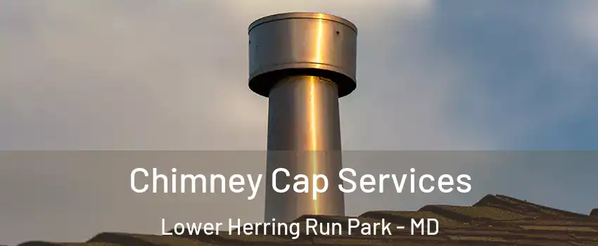 Chimney Cap Services Lower Herring Run Park - MD