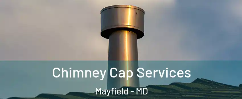 Chimney Cap Services Mayfield - MD