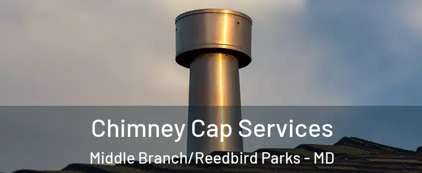 Chimney Cap Services Middle Branch/Reedbird Parks - MD
