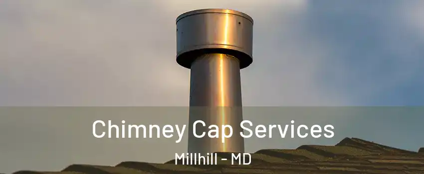 Chimney Cap Services Millhill - MD