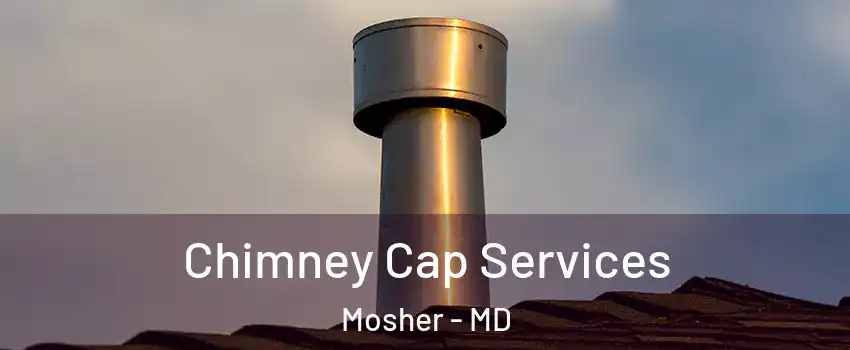 Chimney Cap Services Mosher - MD