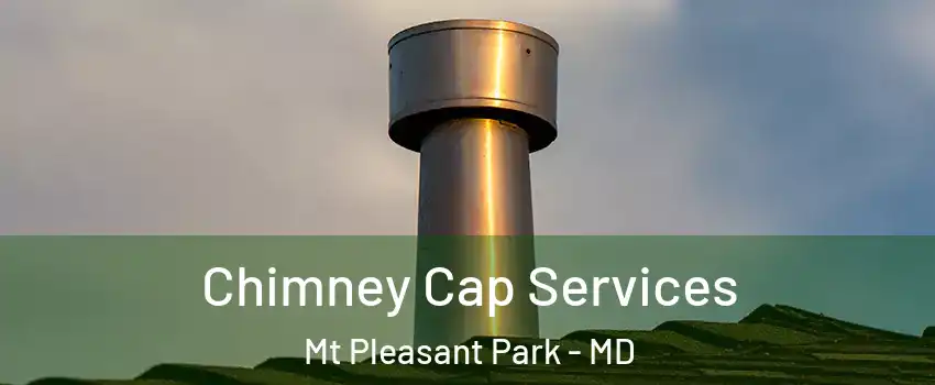 Chimney Cap Services Mt Pleasant Park - MD