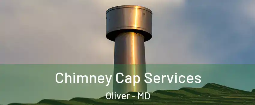 Chimney Cap Services Oliver - MD