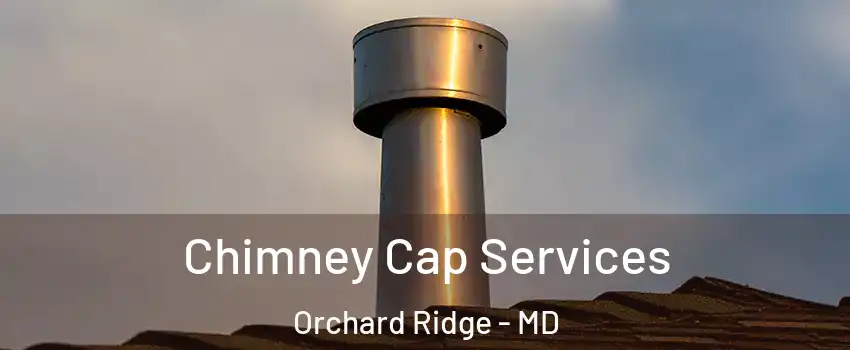 Chimney Cap Services Orchard Ridge - MD