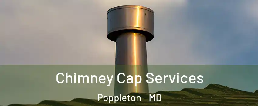 Chimney Cap Services Poppleton - MD