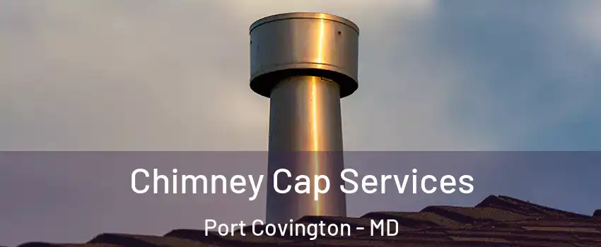 Chimney Cap Services Port Covington - MD