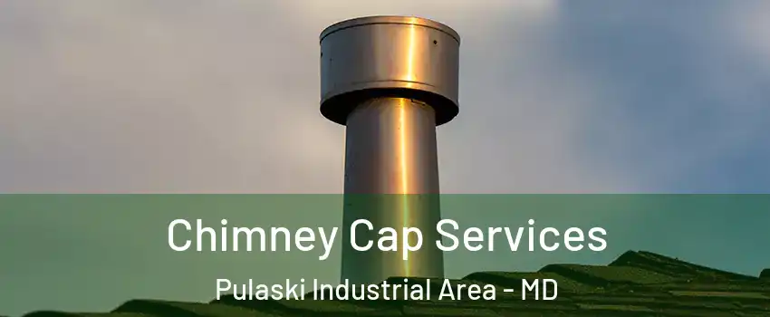 Chimney Cap Services Pulaski Industrial Area - MD