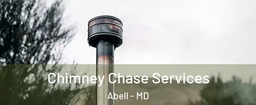 Chimney Chase Services Abell - MD