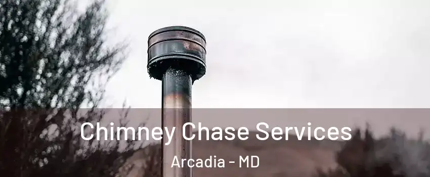 Chimney Chase Services Arcadia - MD