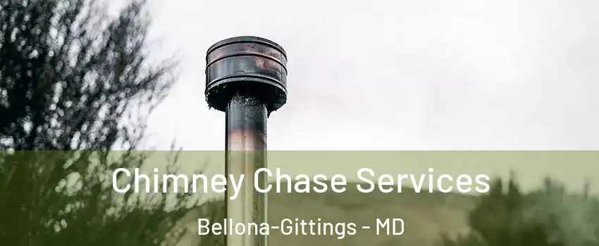 Chimney Chase Services Bellona-Gittings - MD