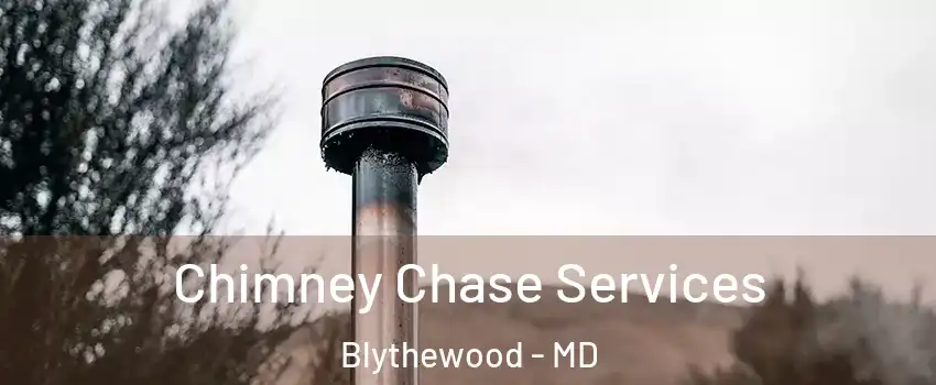 Chimney Chase Services Blythewood - MD